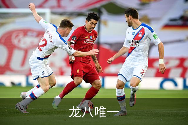 龙八唯一公司介绍
